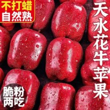 【头茬-直发】正宗花牛苹果粉脆两吃 单果60-70mm单果100g+ 5斤带箱(净重4.5斤)14.9元