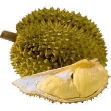 20点：Mr.Seafood 京鲜生 进口金枕榴莲 净重7KG+ 2-4个装275元 包邮（多重优惠）