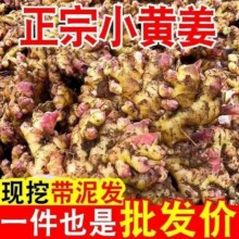 天降福利；罗平小黄姜 2500g16.57元包邮+194淘金币（需领券）