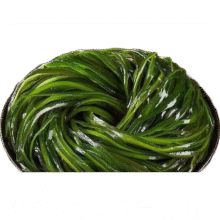 0.5元     鲜海带 盐渍海带丝 海带凉拌菜鲜嫩 盐渍海带丝500g0.5元（秒杀渠道进入）