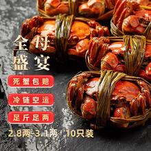 隆上記 去绳足重、死蟹包赔：隆上记 现货大闸蟹全母2.8-3.1两 10只礼盒装218元