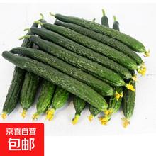 京喜 新鲜黄瓜 净重 2斤 试吃装2.49元