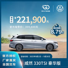 大众 Volkswagen MPV 豪华版