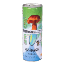 闹江湖 云南精酿蘑菇见手青啤酒 1L*2瓶39.9元