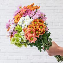 一网情深 云南昆明鲜花基地直发玫瑰花水养百合花束鲜切花向日葵花材直8.71元