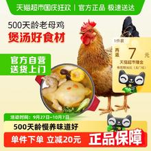 88VIP会员：温氏 供港 富硒老母鸡1.2kg