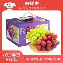 京鲜生 精品阳光玫瑰+妮娜皇后 净重5斤葡萄组合109.99元
