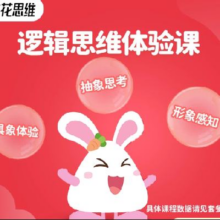 需首购：火花  逻辑思维小班课 思维训练  1节直播课+45节思维训练0.91元