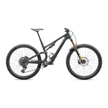 SPECIALIZED 闪电 STUMPJUMPER 15 PRO碳纤维全避震林道山地自行车