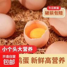 农家散养正宗土鸡蛋 400g券后1.5元