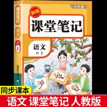 《小学课堂笔记》（2025秋新版 年级/科目任选）