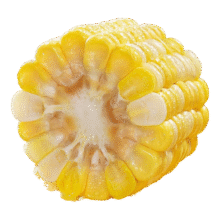 【云南高原玉米】现摘新鲜水果玉米新鲜甜玉米棒生鲜蔬菜可生吃 新鲜水果玉米 2斤 带箱 300g起7元 (月销4000+)