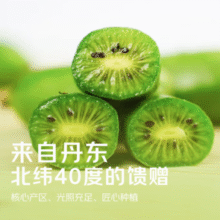 鲜嫩多汁！京觅 丹东软枣猕猴桃/奇异莓 中果 单果10g以上 净重3斤￥23.80 8.0折