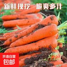 京喜 国产农家自种胡萝卜 2斤 带箱 100g起/支