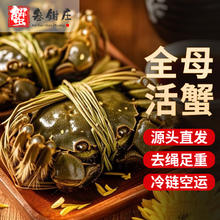 去绳足重、死蟹包赔：蟹叁钳庄 现货全母大闸蟹2.3-2.6两/只 8只礼盒装134元
