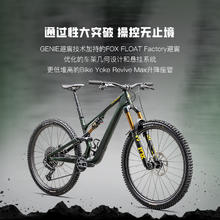 SPECIALIZED 闪电 STUMPJUMPER 15 PRO碳纤维全避震林道山地自行车