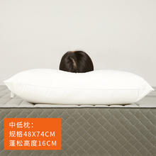 8H 抗菌舒弹纤维枕 偏低枕 单只装