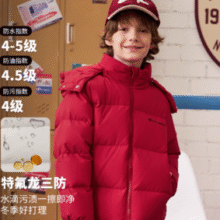 Champion 冠军 25年冬款 儿童三防抗菌连帽羽绒服25FW-YR058 三色￥428.79 4.8折