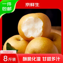京鲜生 山东冰糖秋月梨 净重7-7.5斤 单果300g+ 臻品礼盒 源头直发29.9元