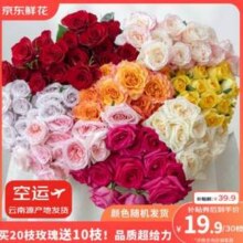 京东鲜花 玫瑰花鲜切花 随机色20枝+送10枝