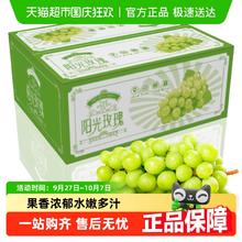 88VIP会员：PANZHIHUA FRUIT 四川阳光玫瑰葡萄新鲜香印青提子现摘生鲜新鲜水果整箱
