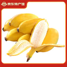 静益乐源广西小米蕉 粉蕉 新鲜香蕉水果 净重9斤装13.99元
