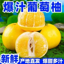 妃多多 黄金葡萄柚 毛重4~4.5斤11.75元（需领券，叠加全能卡红包后9.75元）
