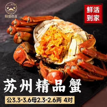 京东PLUS：阳澄逍遥 阳澄湖大闸蟹 公3.3-3.6两 母2.3-2.6两 4对8只147.6元