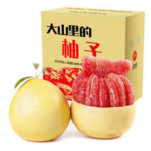 有券的上：食九月 土八鲜 南非红心西柚 （2-3枚装）券后9.87元