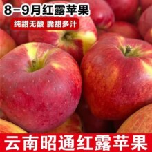 下拉+礼金15.87！正宗云南昭通丑苹果5斤15.87元