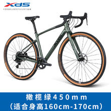 喜德盛 GT600 碳纤维公路自行车 11速 油刹竞技单车券后6840元