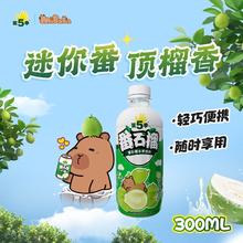 健力宝 卡皮巴拉顶榴迷你番石榴口味水果饮料果香四溢 300ml*12瓶8.05元（淘金币低至7.77元）