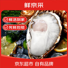 20点开始：鲜京采 生蚝5斤 4XL 10-13只装 源头直发 露营烧烤券后46.9元