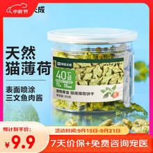 网易严选 猫零食 猫薄荷饼干 95g