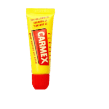 CARMEX美国进口小蜜缇润唇膏 10g*219.8元（需领券，合9.9元/件）