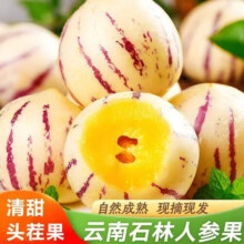 庾丰源头鲜采 当季现摘云南石林人参果 新鲜水果整箱孕妇 送礼团购 5斤装（净果4.5斤）单果80g-50g17.9元 (月销3000+)