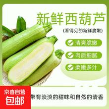 京喜 山东新鲜西葫芦 2斤 ±50g（带箱）