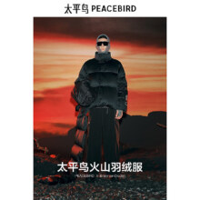太平鸟 男装火山羽绒服面包服250元