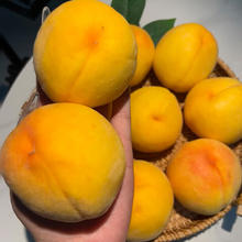 自然故事 京鲜生 蒙阴黄桃 净重4.5斤 单果150g 新鲜水果源头直发 包邮券后21.9元