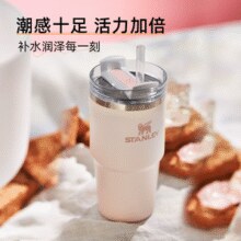 无需海淘！Stanley 史丹利 大容量吸管不锈钢保温杯 591mL 3色￥119.64 1.3折