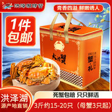 今日必买：洪泽湖螃蟹 洪泽湖大闸蟹 鲜活螃蟹 海鲜水产生鲜礼盒装 整箱3斤约15-20只（母蟹3只起）99.9元