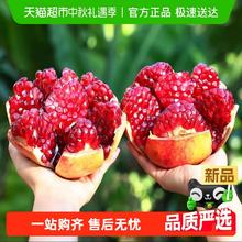 米乐果 现货突尼斯软籽石榴水果 4.5斤250-300g￥8.66