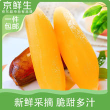 京鲜生 云南天山雪莲果 净重5斤 单果150g+ 生鲜水果源头直发包邮16.9元