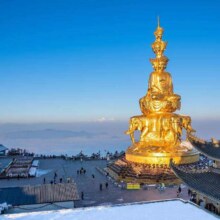 成都九寨沟+黄龙+乐山大佛+峨眉山+都江堰+青城山/熊猫乐园8天7晚跟团游1180元