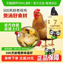 88VIP会员、概率券：温氏 供港 富硒老母鸡1.2kg*1件 慢养500天龄散养