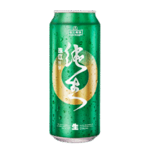 珠江啤酒 特制纯生 500mL*12罐30.9元（需换购）