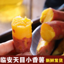 源产地现挖现发！京鲜生 临安天目山小香薯 单果约100-200g 净重5斤￥17.89 9.0折 比上一次爆料上涨 ￥3.33