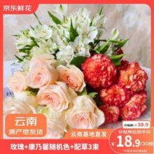 京东鲜花 玫瑰10枝+康乃馨10支 共20枝 送配草