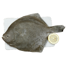 缤鲜 国产 新鲜速冻精选海捕多宝鱼净重300g-400g/条 共6条-源头直发59.9元