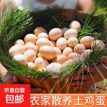 京喜 无品牌 国产农家散养土鸡蛋 400g 10枚